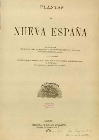 Spanish title page from "Plantae Novae Hispaniae."