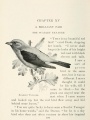Scarlet tanager by Louis Agassiz Fuertes from "Citizen Bird"
